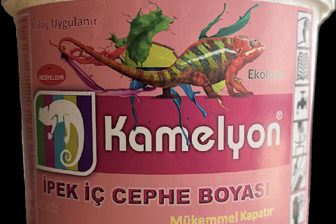 Boya ve Kaplama Sistemleri (Kamelyon)